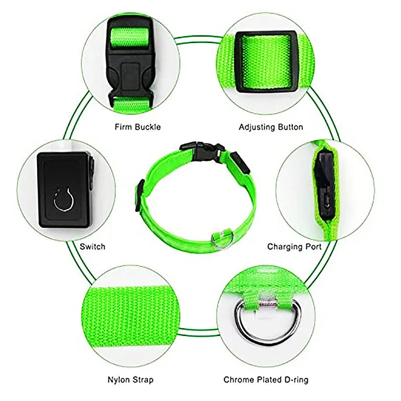 LED-blinkande hundhalsband sakert i morker