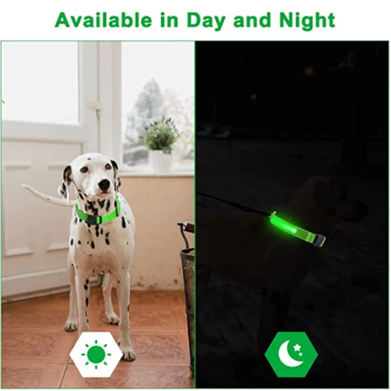 LED-blinkande hundhalsband sakert i morker