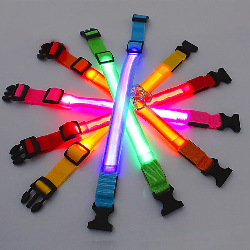 LED-blinkande hundhalsband sakert i morker