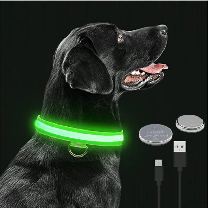 LED-blinkande hundhalsband sakert i morker