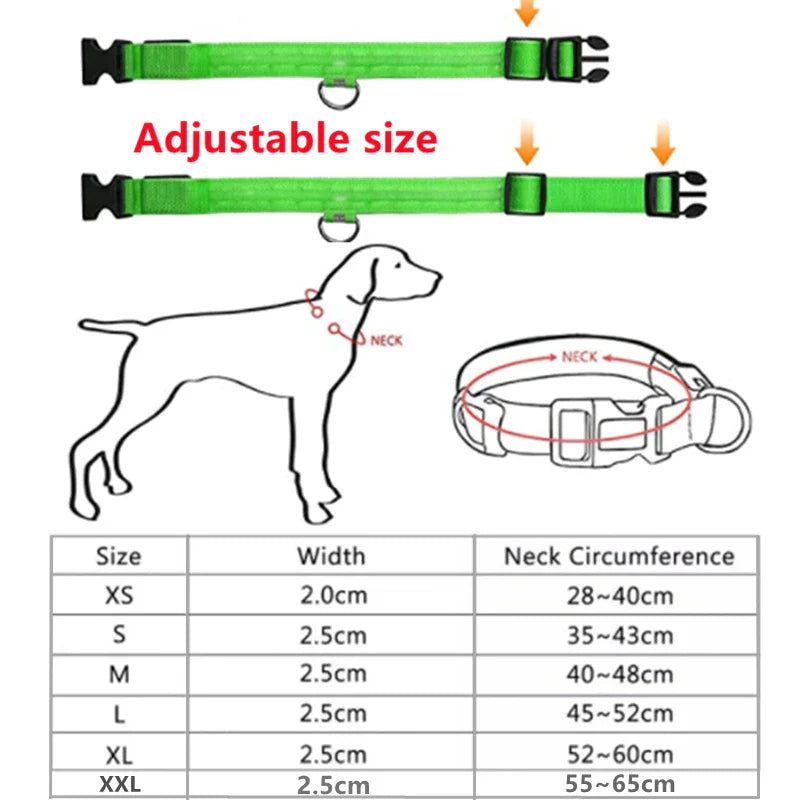 LED-blinkande hundhalsband sakert i morker