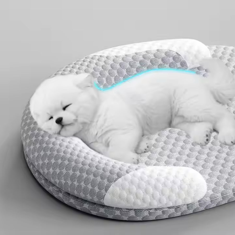 Kylande sang for hund och katt