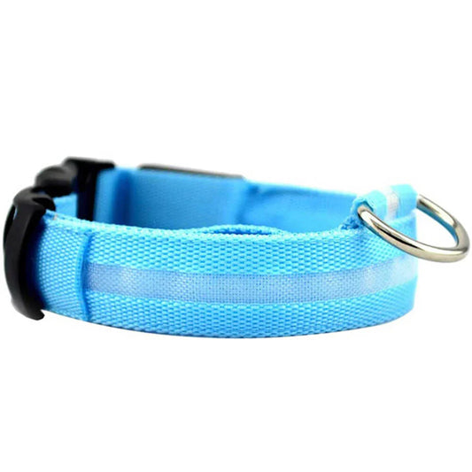 LED-blinkande hundhalsband sakert i morker